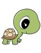 Image result for turtle cartoon